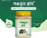 পঞ্চভূত প্লাস