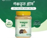 পঞ্চভূত প্লাস